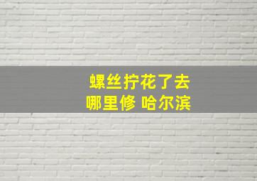 螺丝拧花了去哪里修 哈尔滨